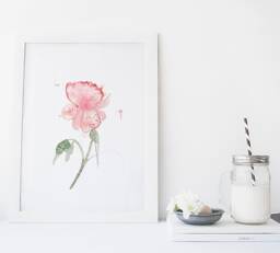 Peony Print/Flower Watercolor Reproduction Minimalist Style Cynthia Paquette - thumbnail 1