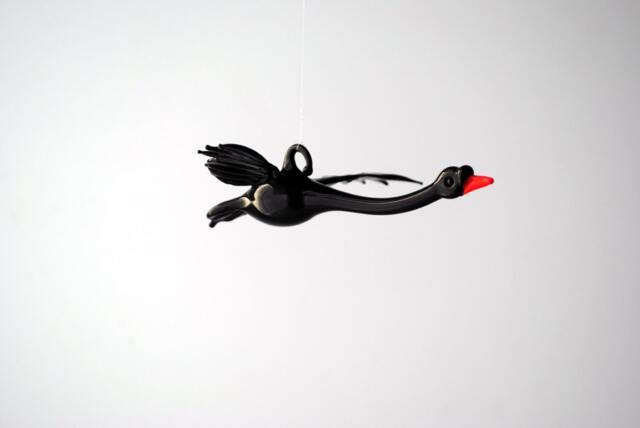 E36-237B Small Black Swan