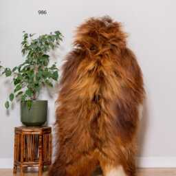 Fluffy Icelandic Sheepskin Rug - Natural Soft Wool Throw For Sofa, Chair Or Bedroom Decor - thumbnail 3