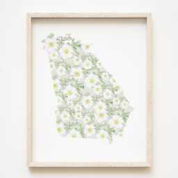 Georgia State Flower Map Watercolor Cherokee Rose - Art Print Wall Graduation Wedding Anniversary Realtor Moving Gift West Coast - thumbnail 1