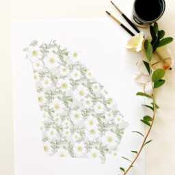 Georgia State Flower Map Watercolor Cherokee Rose - Art Print Wall Graduation Wedding Anniversary Realtor Moving Gift West Coast - thumbnail 3