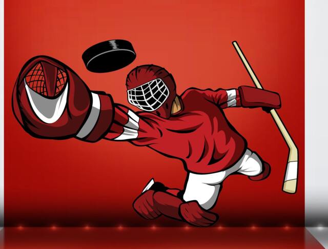 Hockey Goalie Full Color Decal, Color Sticker, Wall Art Cn 37 - image 1