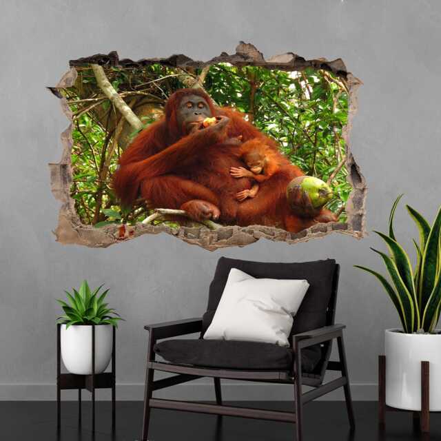 Orangutan Animal Wall Decal Sticker Mural Poster Print Art Kids Bedroom Home Decor Fe18 - image 1