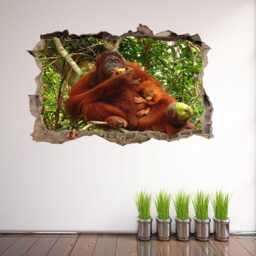 Orangutan Animal Wall Decal Sticker Mural Poster Print Art Kids Bedroom Home Decor Fe18 - thumbnail 3