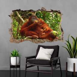 Orangutan Animal Wall Decal Sticker Mural Poster Print Art Kids Bedroom Home Decor Fe18 - thumbnail 1