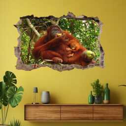 Orangutan Animal Wall Decal Sticker Mural Poster Print Art Kids Bedroom Home Decor Fe18 - thumbnail 2