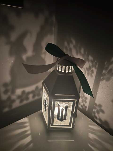 Wicked Inspired Shadow Lantern - image 1