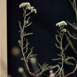 Extra Large Wall Decor 13x18 - thumbnail 4