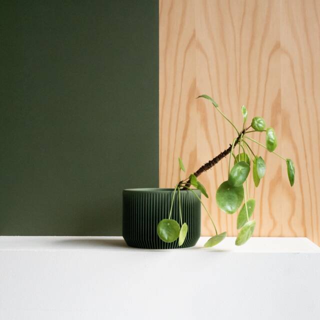 Green Indoor Wood Planter - Praha - image 1