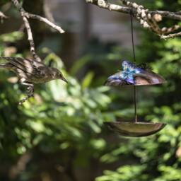 Bird Feeder With Butterfly Top. Hanging Metal Outdoor Feeder. Butterflies - thumbnail 2