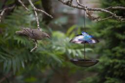 Bird Feeder With Butterfly Top. Hanging Metal Outdoor Feeder. Butterflies