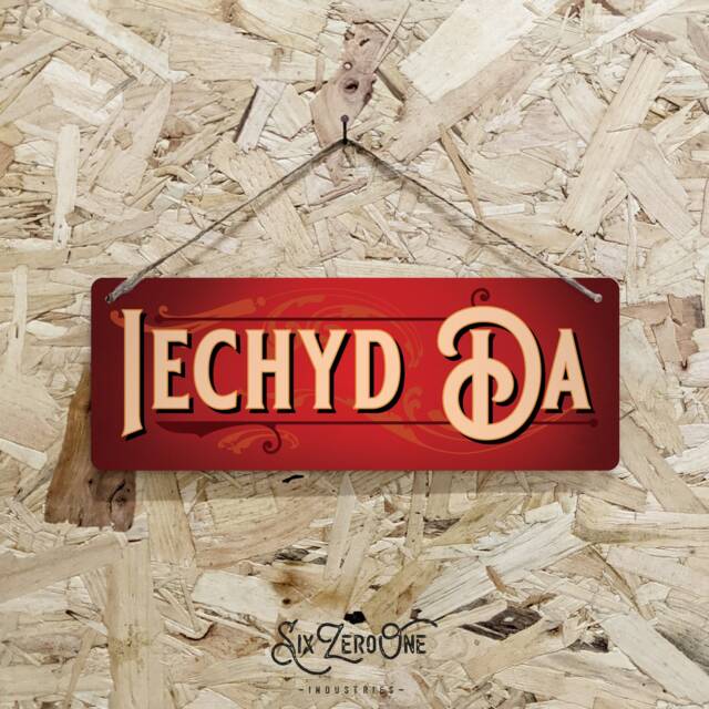Iechyd Da Metal Sign Horizontal - Vintage Worn Look Print Welsh Wales Cymru Bar Pub Cheers Celtic Silver/White Small - image 1