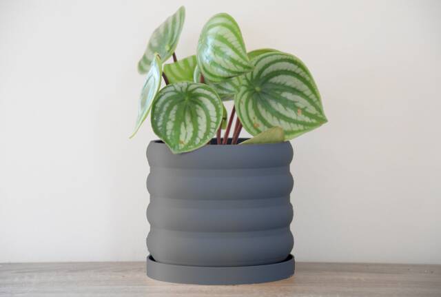 "Bubbly Planter With Drainage & Saucer in Stone Blue, Unique 3D-Printed Plant Pot, Small To Large Sizes 4"" 5"" 6"" 7"" 8" - image 1