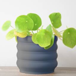 "Bubbly Planter With Drainage & Saucer in Stone Blue, Unique 3D-Printed Plant Pot, Small To Large Sizes 4"" 5"" 6"" 7"" 8" - thumbnail 3