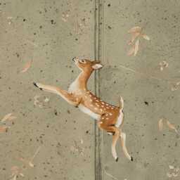 Deer Wall Decal Playful Fawn, Woodland Nursery Decor - thumbnail 3
