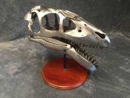 Handmade Welded Utahraptor Skull