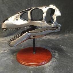 Handmade Welded Utahraptor Skull - thumbnail 4