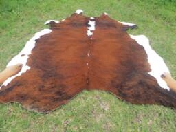 Hereford Redish Brown Large New Cowhide Rug Natural Hair On - 6x6 Ft Size Approx Tricolor Brown Tones Soft Carpet Cow Hide W-H R - thumbnail 1