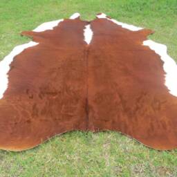 Hereford Redish Brown Large New Cowhide Rug Natural Hair On - 6x6 Ft Size Approx Tricolor Brown Tones Soft Carpet Cow Hide W-H R - thumbnail 3