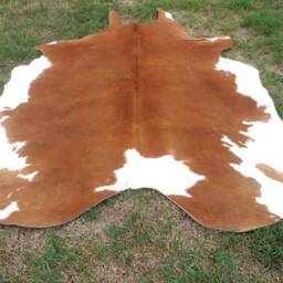 Hereford Redish Brown Large New Cowhide Rug Natural Hair On - 6x6 Ft Size Approx Tricolor Brown Tones Soft Carpet Cow Hide W-H R - thumbnail 4