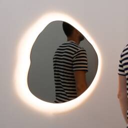 Ergon??? Illuminated Organic Freeform Black Tinted Mirror With Blackened Stainless Steel Frame - thumbnail 2