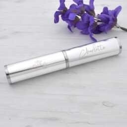 Beautifully Engraved Personalised With Name & January Birthday Flower Aluminium Chromed Pen Box