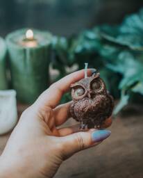 Owl Candle - Fruits Of The Forest - thumbnail 1