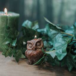 Owl Candle - Fruits Of The Forest - thumbnail 2