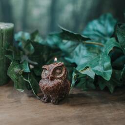 Owl Candle - Fruits Of The Forest - thumbnail 3