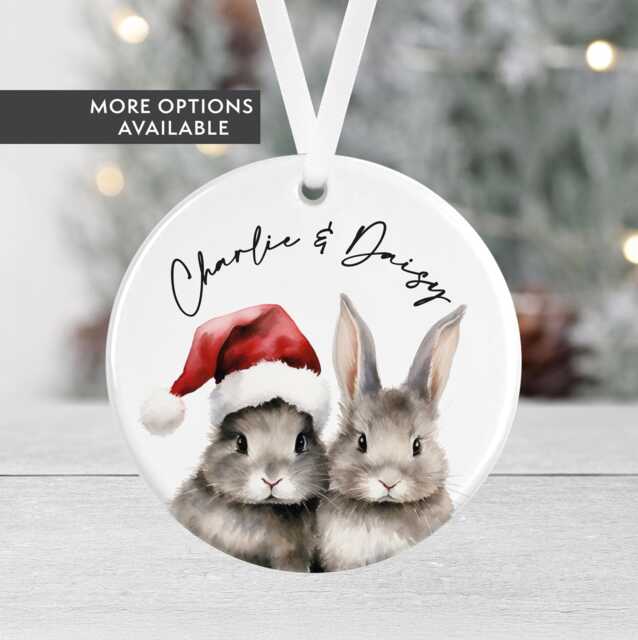 Personalised Bunny Christmas Bauble - Rabbit Pet Gift Ornament Mum Dad Lover - image 1