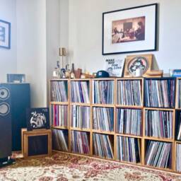 The Amp Box Stripped - Vinyl Storage - thumbnail 4
