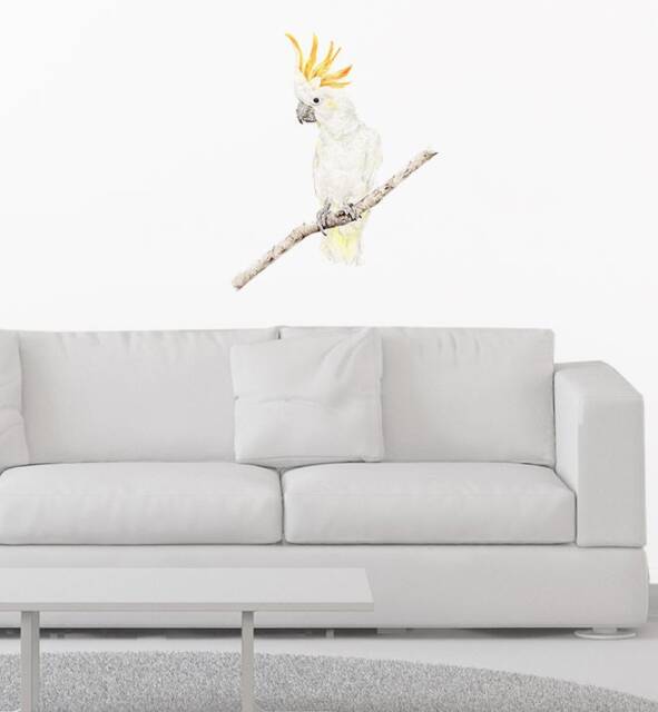 Brucey The Cockatoo Wall Sticker Decal - Australian Animal Decals, Stickers, Kids, Native Animals Art