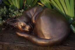 Curled Up Cat Bronze Sculpture in Dark Bronze Patina, By Christine Baxter - thumbnail 1