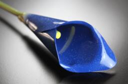 Blue Metal Calla Lily Steel Anniversary Flower