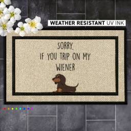 Funny Wiener Doormat With A Personal Twist - Apologize Smile - thumbnail 1