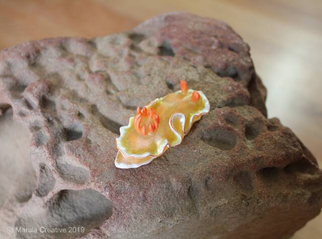 Rica The Nudibranch - Ardeadoris Symmetrica - image 1