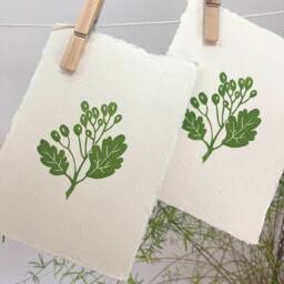Hawthorn Original Mini Linocut Print - Botanical Art Nature Lino Print - thumbnail 2