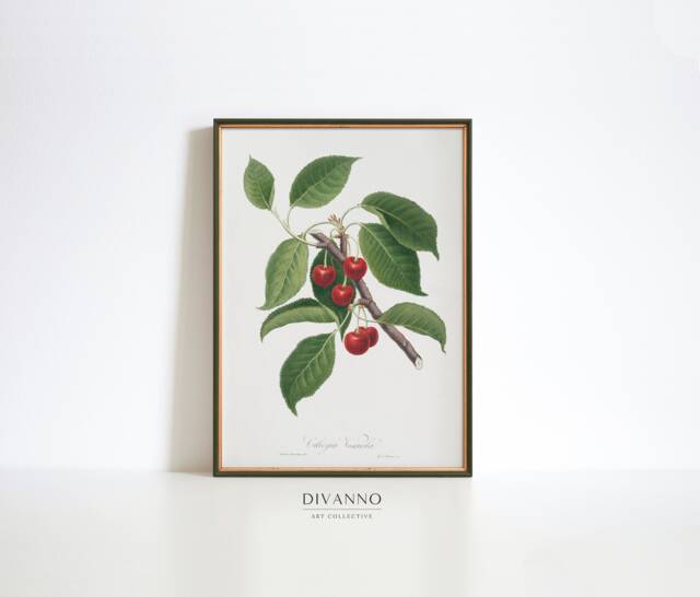Vintage Fruit Poster, Cherry Art Print, Antique Italian Wall Art, Botanical Farmhouse Kitchen Decor, Garden Canvas, Plant Gift - image 1
