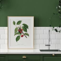 Vintage Fruit Poster, Cherry Art Print, Antique Italian Wall Art, Botanical Farmhouse Kitchen Decor, Garden Canvas, Plant Gift - thumbnail 3