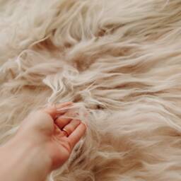 Exclusive Genuine Natural Rare Icelandic Sheepskin Rug, Pelt, Soft Long Fur Extra Large Super Scandinavian Home Luxury - thumbnail 4