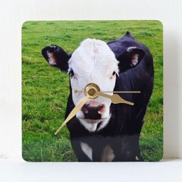 Cow Desk Clock - Decoupage Photo Black Calf Farm Animal & White - thumbnail 3