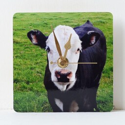 Cow Desk Clock - Decoupage Photo Black Calf Farm Animal & White - thumbnail 2