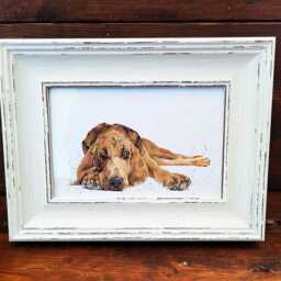 Bloodhound Print 17x12cm - White Rustic Frame - Droopy Dog Wall Art, Gift For Owners - thumbnail 3