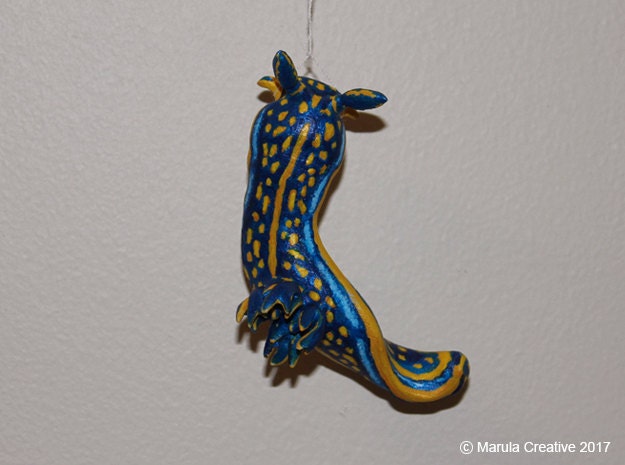 Brica The Nudibranch - Hypselodoris Cantabrica - image 1