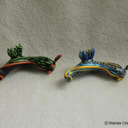 Brica The Nudibranch - Hypselodoris Cantabrica - thumbnail 4
