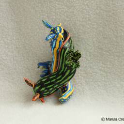 Brica The Nudibranch - Hypselodoris Cantabrica - thumbnail 2