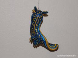 Brica The Nudibranch - Hypselodoris Cantabrica - thumbnail 1