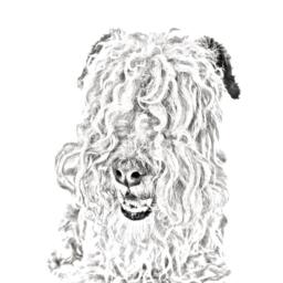Lakeland Terrier - Wooden Stand For Candles/Pens With The Image Of A Dog New Collection - thumbnail 2