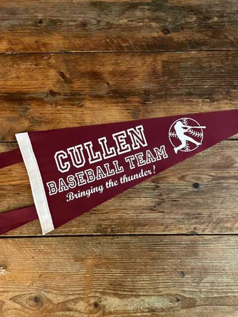 Twilight Pennant Flag/Felt Pennant Wall Hanging Edward Cullen Bella Swan Vampire 80S Movie Forks La Push Washington