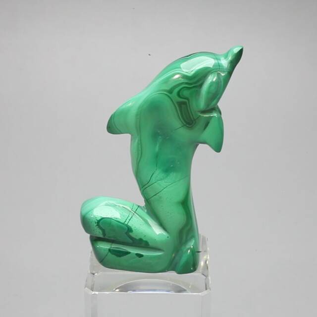 Malachite Crystal Dolphin ~55x38mm - Cas220 - image 1